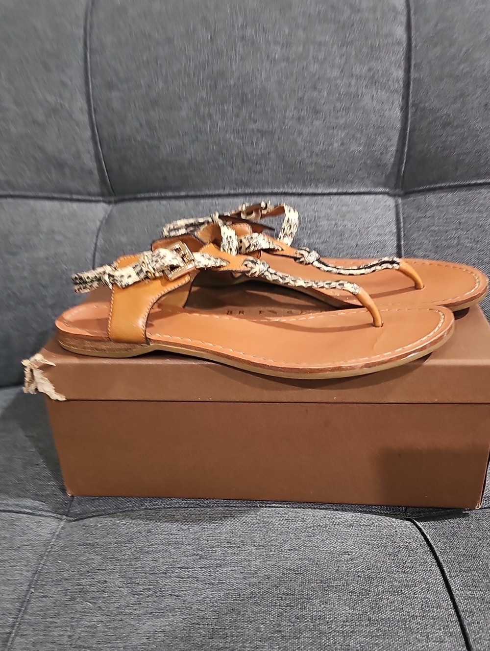 Coach Clarkson Cut  with Snake-Print Sandals